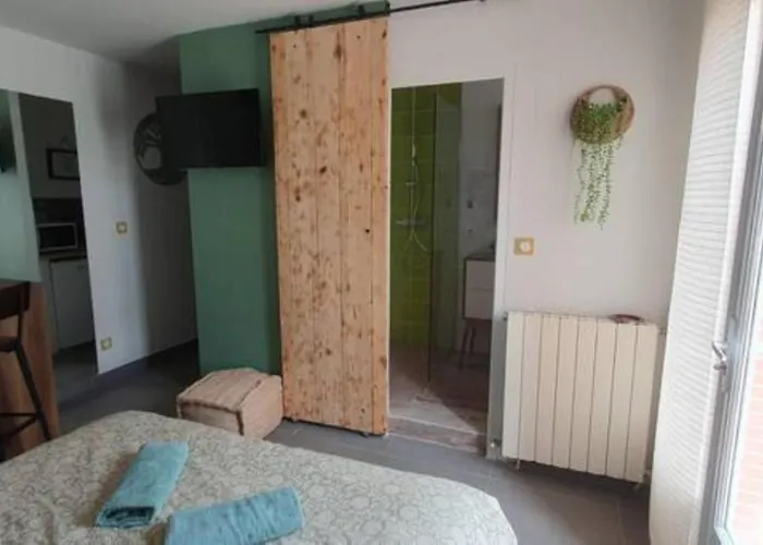 Le Petit Nid Champetre * Montesquieu-Lauragais